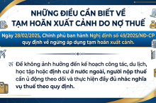 Tạm Hoãn Xuất Cảnh Do Nợ Thuế: Ai Có Thể Bị Áp Dụng Từ Năm 2025?