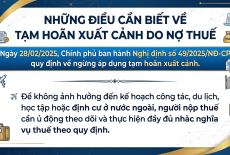 Tạm Hoãn Xuất Cảnh Do Nợ Thuế: Ai Có Thể Bị Áp Dụng Từ Năm 2025?