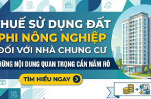 Thuế Sử Dụng Đất Phi Nông Nghiệp (SDPNN) Phải Nộp Cho Nhà Chung Cư: Cần Biết Gì?