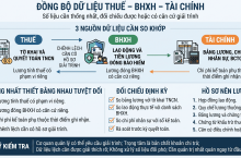 Đồng bộ dữ liệu Thuế – BHXH – Tài chính: Doanh nghiệp cần lưu ý gì?