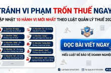 Tổng Hợp 10 Hành Vi Được Coi Là Trốn Thuế Từ Ngày 01/07/2026