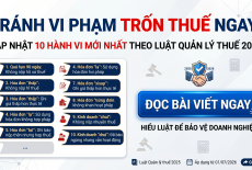 Tổng Hợp 10 Hành Vi Được Coi Là Trốn Thuế Từ Ngày 01/07/2026