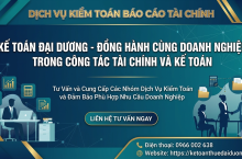 Dịch vụ kiểm toán BCTC chuyên nghiệp cho doanh nghiệp
