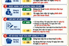 7 điểm mới về thời hạn đăng ký thuế từ 01/07/2026