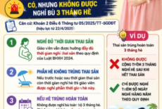 Nghỉ thai sản trùng 3 tháng hè, giáo viên có được nghỉ thêm không?