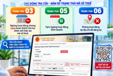 Tra cứu mã số thuế: Chủ động kiểm tra trạng thái 03, 05, 06