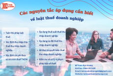 Các nguyên tắc áp dụng luật thuế doanh nghiệp cần biết 