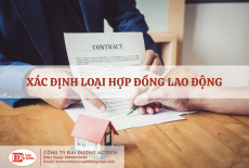 Kê khai thuế và quyết toán thuế TNCN dựa vào loại hợp đồng lao động