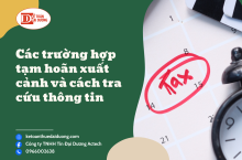 Các Trường Hợp Bị Tạm Hoãn Xuất Cảnh Do Nợ Thuế & Cách Tra Cứu Mới Nhất 2025