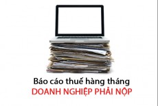 Những loại báo cáo thuế hàng tháng doanh nghiệp phải nộp