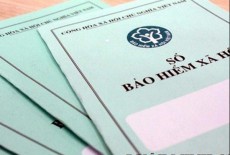 Thông tư 01/2016/TT-BLĐTBXH của Bộ Lao động – Thương binh và Xã hội