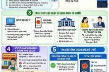Hướng Dẫn Cập Nhật Số Định Danh Cá Nhân Và Xử Lý Trường Hợp Có Nhiều Mã Số Thuế