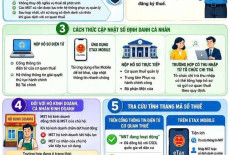 Hướng Dẫn Cập Nhật Số Định Danh Cá Nhân Và Xử Lý Trường Hợp Có Nhiều Mã Số Thuế